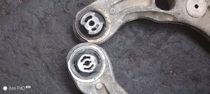 Lower Arms