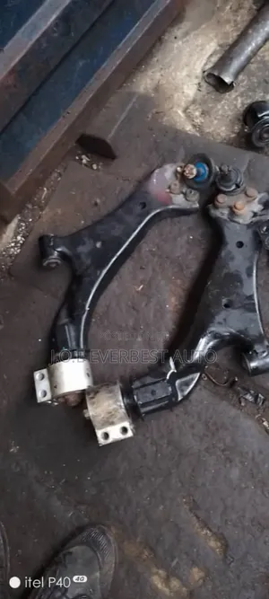 Lower Arms