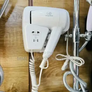 Wall Mounted Hair Dryers