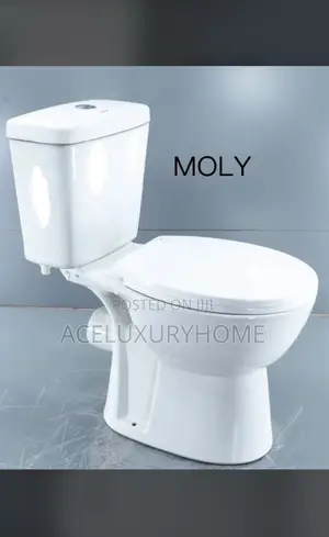 Moly Water Closet