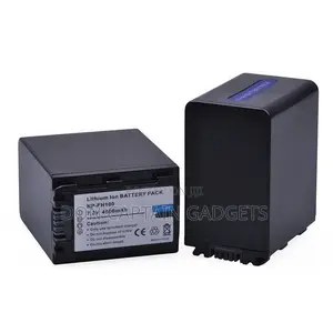 Sony NPFH100 Battery