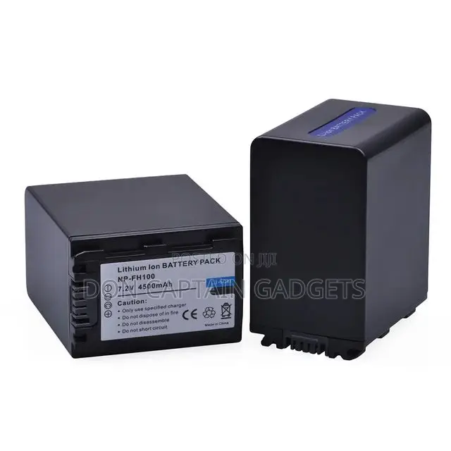 Sony NPFH100 Battery