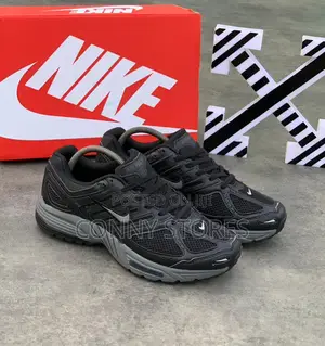 Luxury Nike Air Pegasus 2K5 Black And White Sneakers