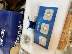 300W Solar Light With Remote and Battery Two Years Warranty
