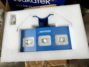 300W Solar Light With Remote and Battery Two Years Warranty