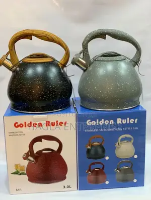 3.0l Stainless Steel Whistling Kettle