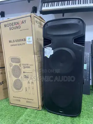 Mordernday Double 15 Inches Rechargeable Pa System