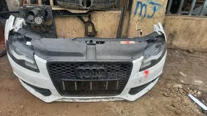 All Types of Volkswagen Fan