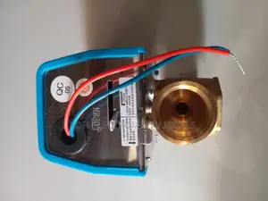 2 Way Actuator Valve Dn20 Johnson Controls