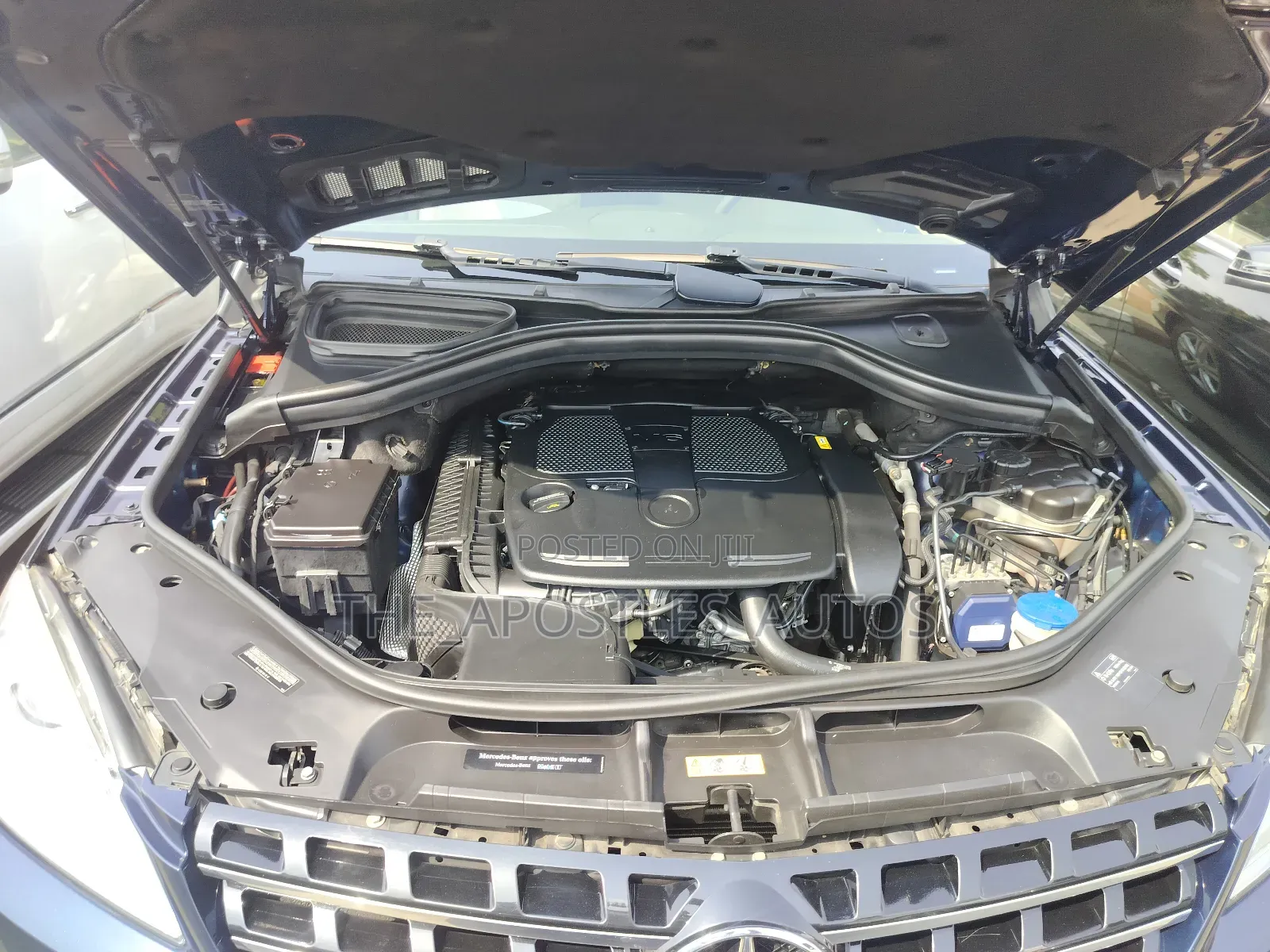 Mercedes-Benz M Class 2014 Blue