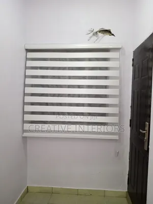 Plain White Day and Night Window Blinds