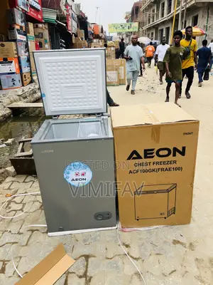 Aeon 100lits Deep Freezer