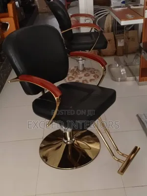 Quality Saloon Chair