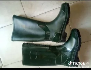 Ordinary Rainboot