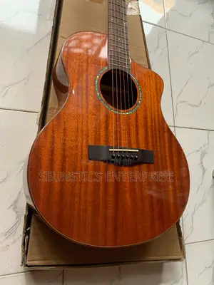 Quality HSH Pure Acoustic Curved Guitar