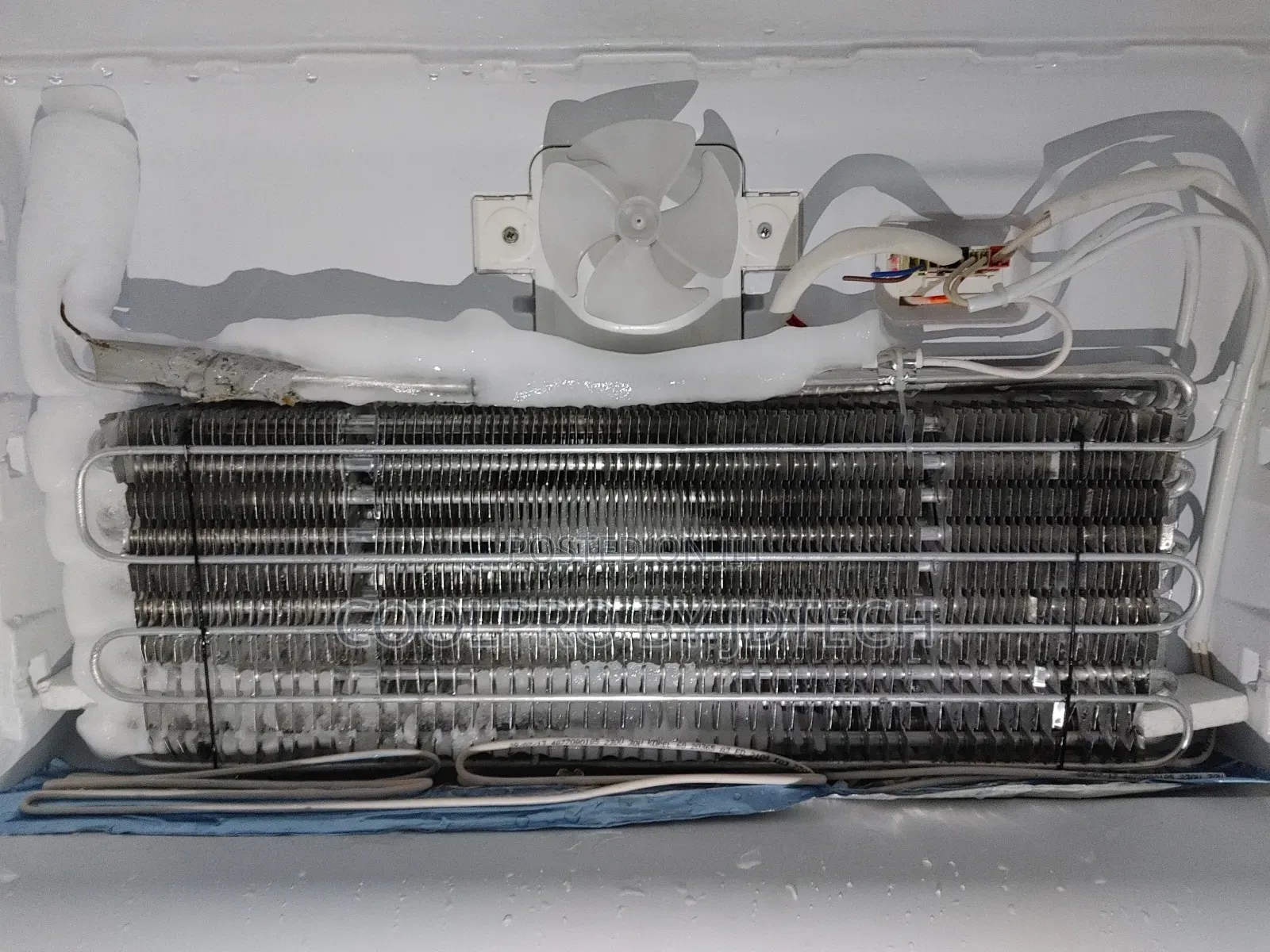 Certified Refrigerator Fridge Technician Repairer