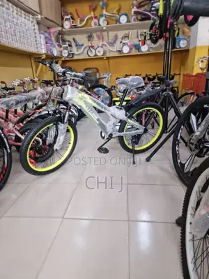 New Arrival American Standard Teenagers Bicycles