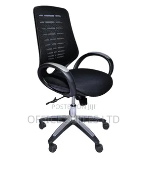 Office Swivel Egornomic Chair
