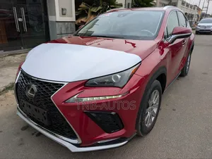 Lexus NX 300 AWD 2020 Burgundy