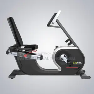 Recumbent Bike (Dhz Brand) A5100