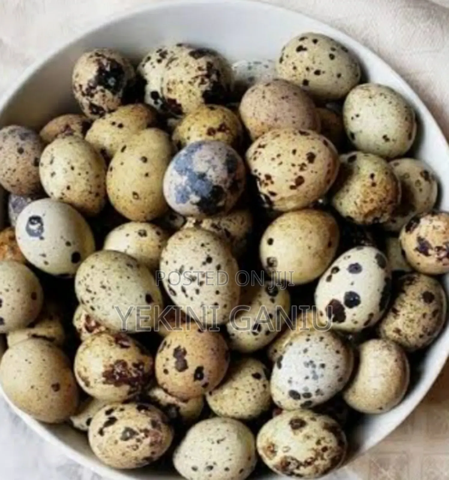 Fresh Quail Eggs