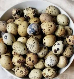 Fresh Quail Eggs