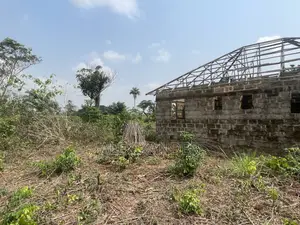 Genuine Land for Sale at Iguikpe Community at Upper Airport Road