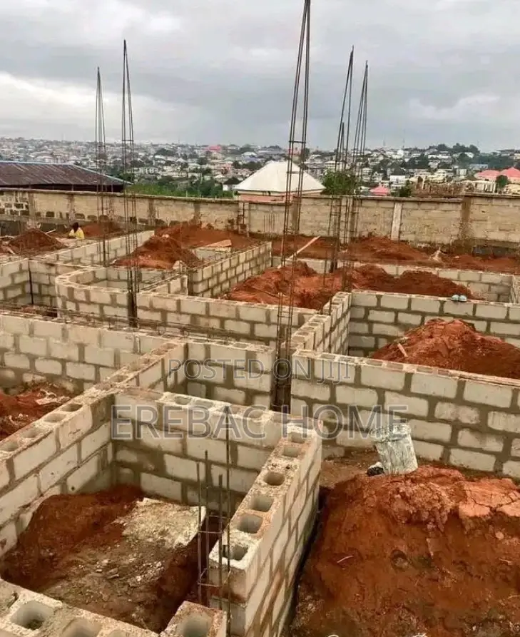 Structure Developer and Engineer