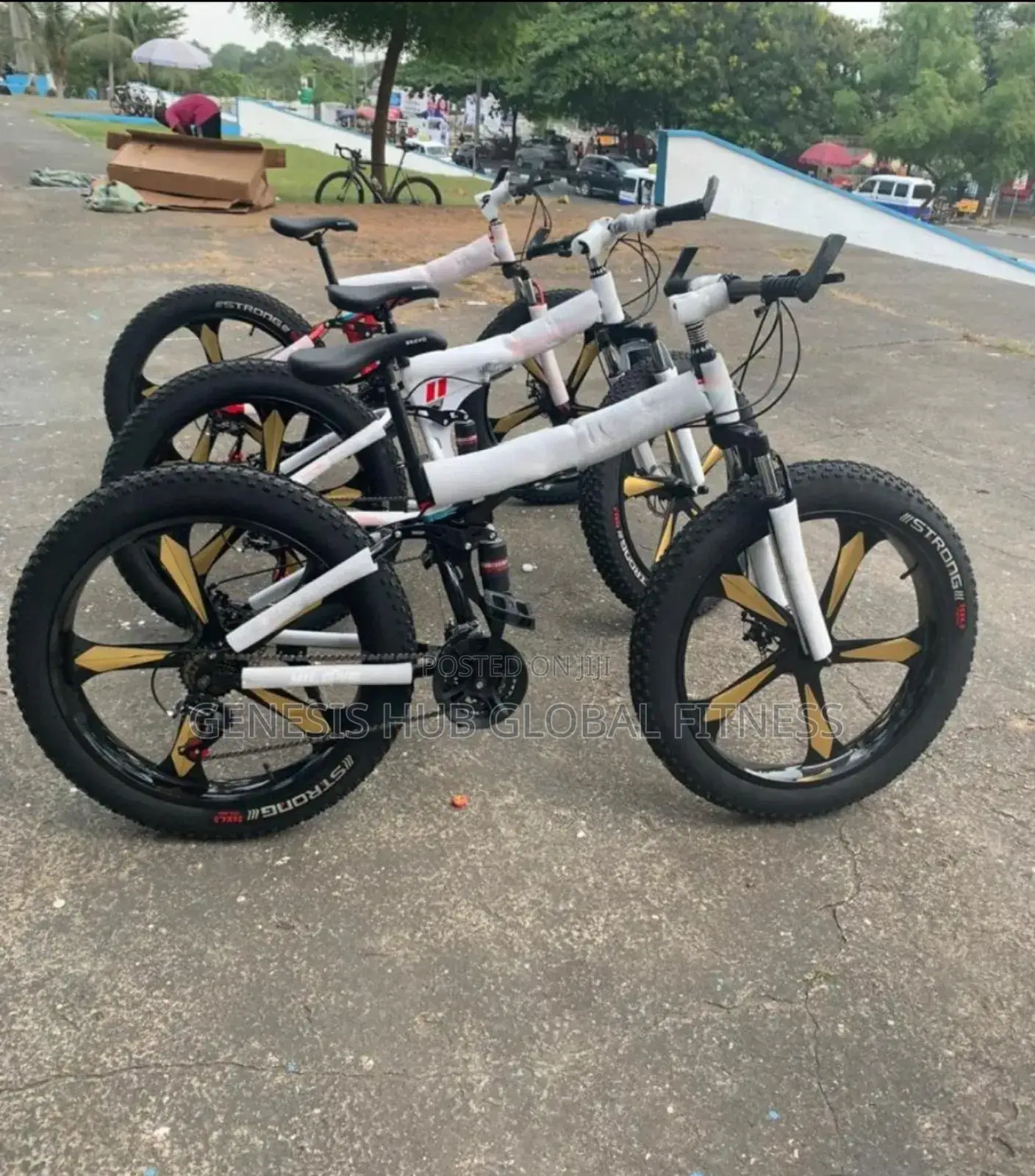 New Big Tyre Bicycle B61