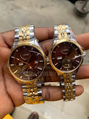 Lidur Automatic Engine Quality Luxury Men Chain Wristwatch
