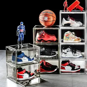 Transparent Stylish Shoe Case /Box
