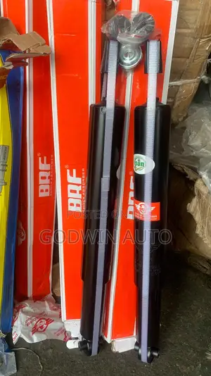 Shock for Ford Edge 2010, Back Shock