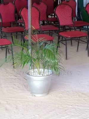 Horticultural and Landscape Service