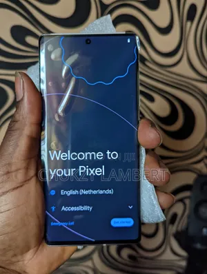 Google Pixel 6 Pro 128 GB Gray