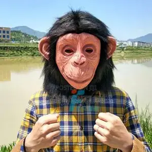 Halloween Party Mask