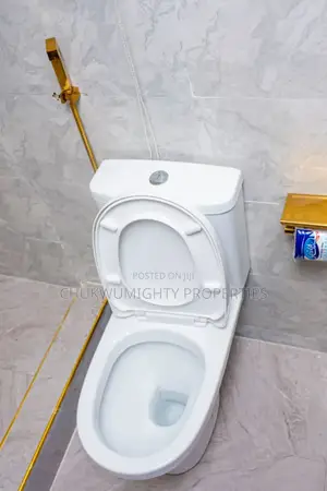 Furnished 2bdrm Block of Flats in Wuse 2 Apartment for rent