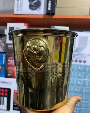 Ice Buckets (Big and Small)