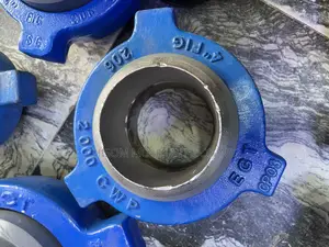 4”X2000 Fig 206 Hammer Union