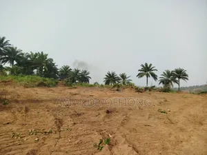 Land for Sale Within Calabar and Uyo