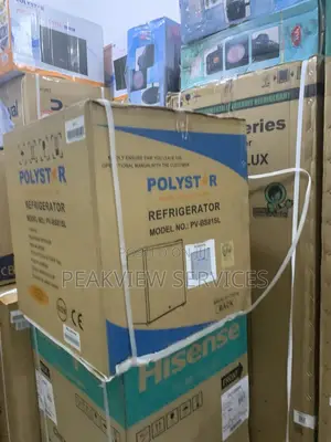 Direct Cooling 45L Bed Side Polystar Refrigerator Pv-Bs81sl!