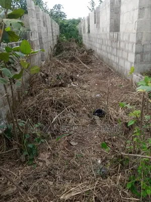 Full Plot With 6 Rooms and Parlours Lintel Atan Ogun State
