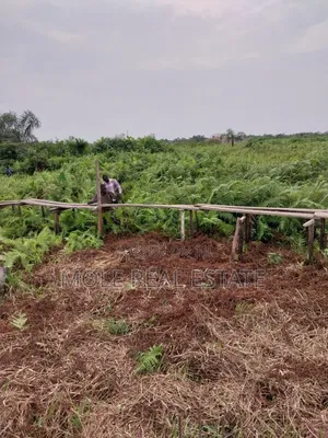 300sqm at a Bustop Ijegun Lasu Festac Link