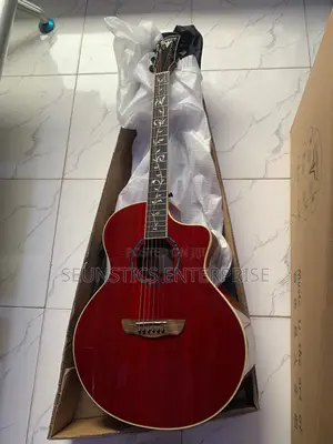 Quality Bullfighter Electro Acoustic Guitar