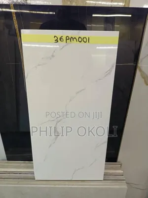 Porcelain Wall Tiles (30X60 )