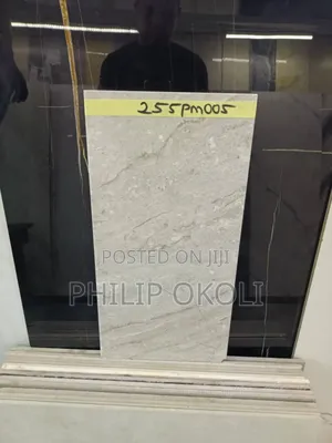 Toilet Wall Tiles(25×50)