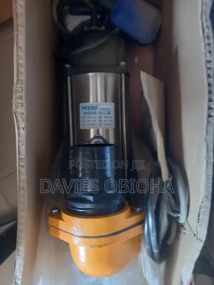 3hp Single Phase Pedro Sewage Pump