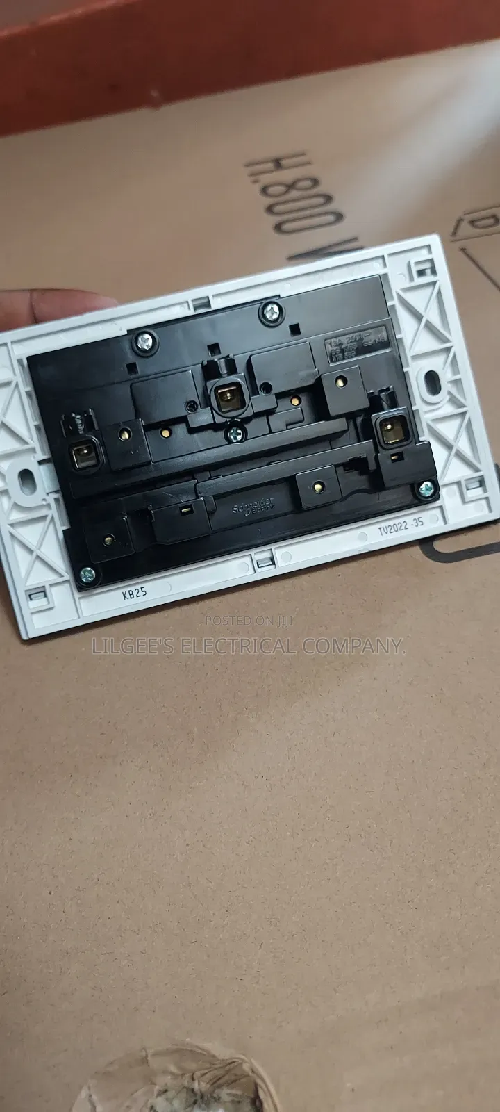 Ash/Silver Colour Schneider Double Socket