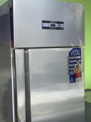 Afess Topnotch Stainless Standing Fridge