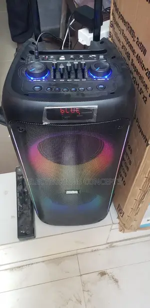 Portable Indoor/Outdoor Party Speaker
