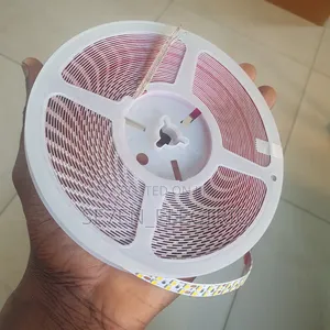 24v 10mm Double Tapelight